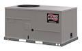 RHPCYC Renaissance™ Line Achiever Plus® Series Packaged Heat Pump